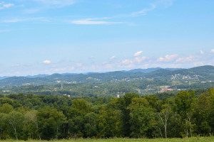 The view of Kingsport, Tennessee from the Summit at Preston Park